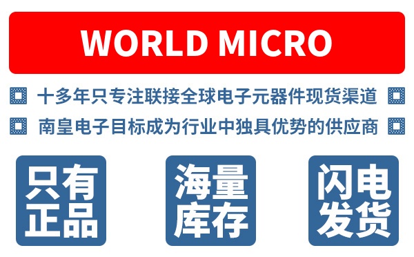World Micro��˾ (World Micro Inc)